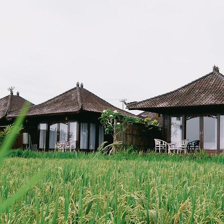 Kayangan Villa Ubud Tegallalang  Exterior foto